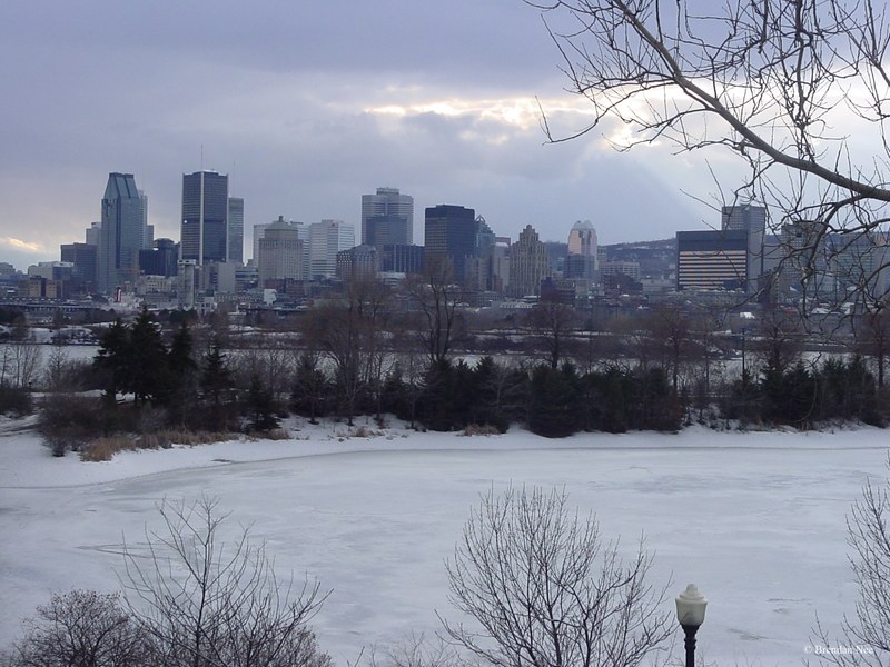 Montreal Skyline - Montreal 3-04 261